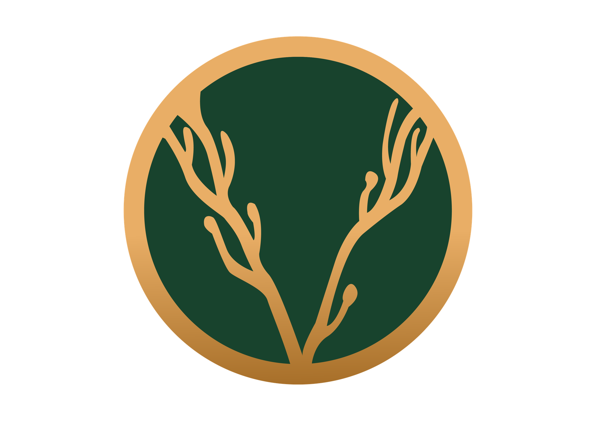 Orgvein Pvt Ltd